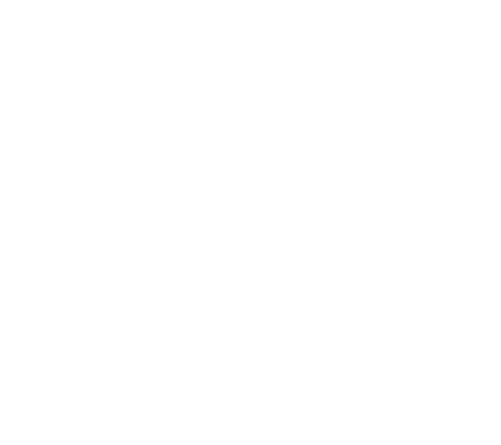 FESVIAL, Fundación para la Seguridad Vial